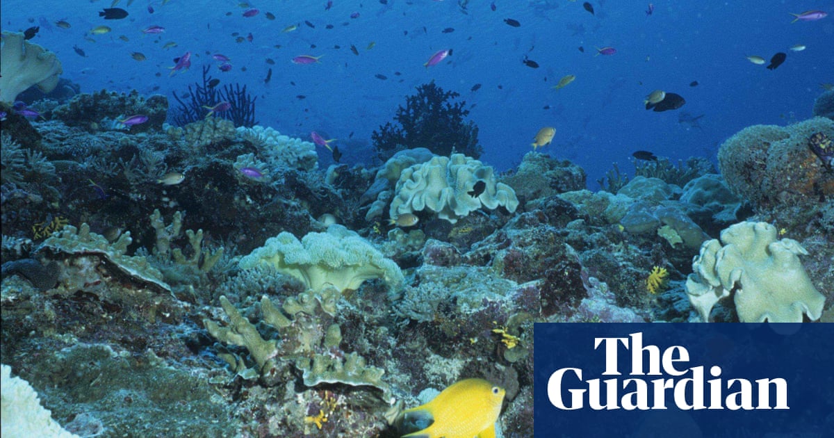 great barrier reef at