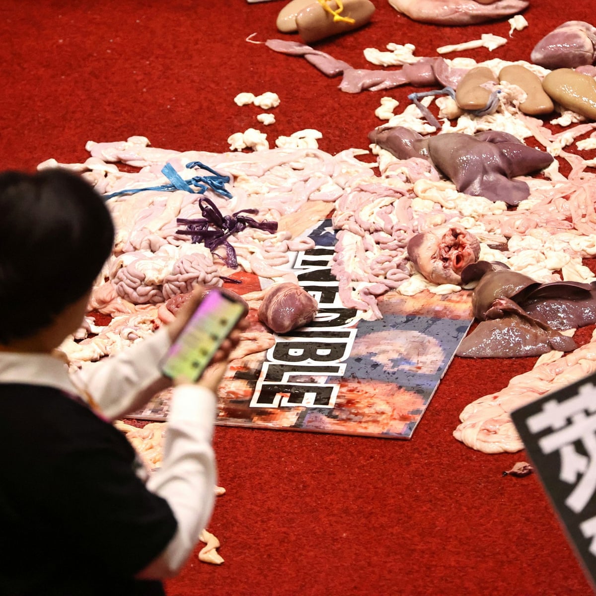 Pig guts fly in offal fight over meat imports in Taiwan's parliament | World news | The Guardian