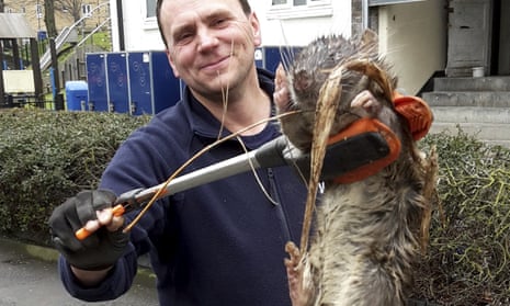 A man claimed to have found a monster rat in London, but all may not be as it seems.