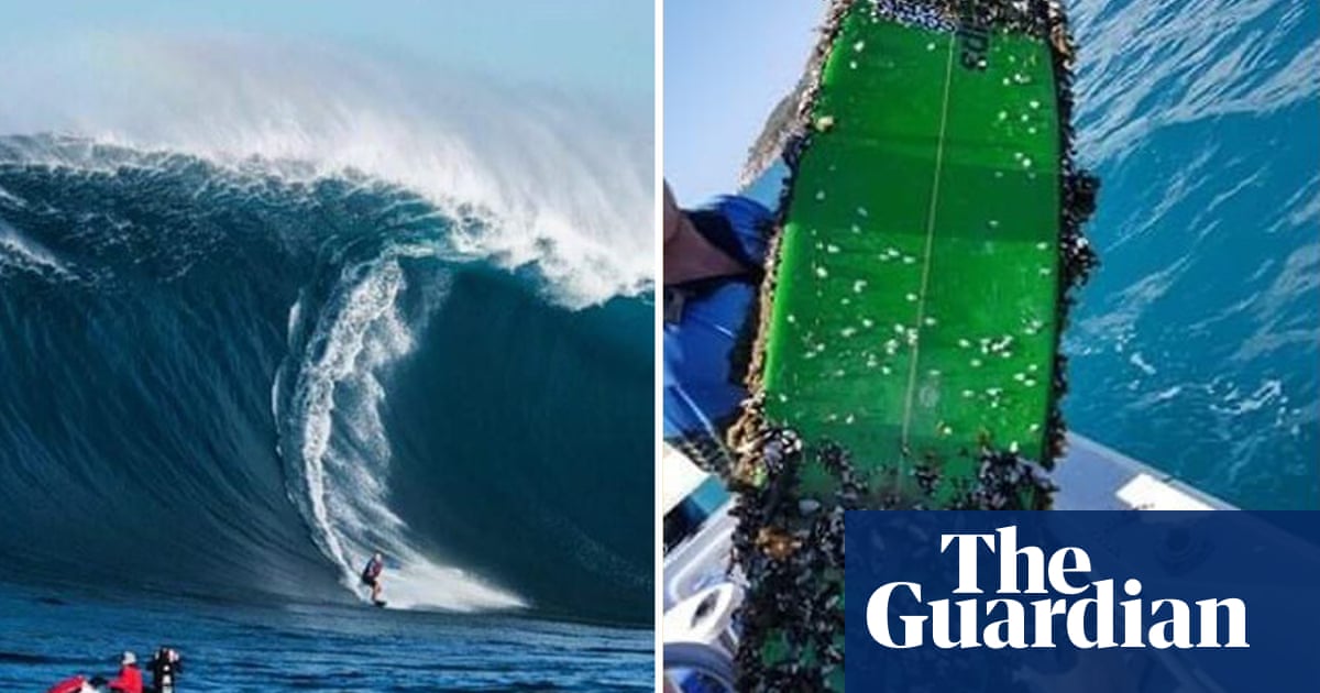 Stoked! Surfboard lost in Tasmania turns up 2,700km away in Queensland