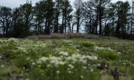 A mound in a field in Wabash, Arkansas that is believed by some to be a mass grave of victims of the 1919 massacre in Elaine.