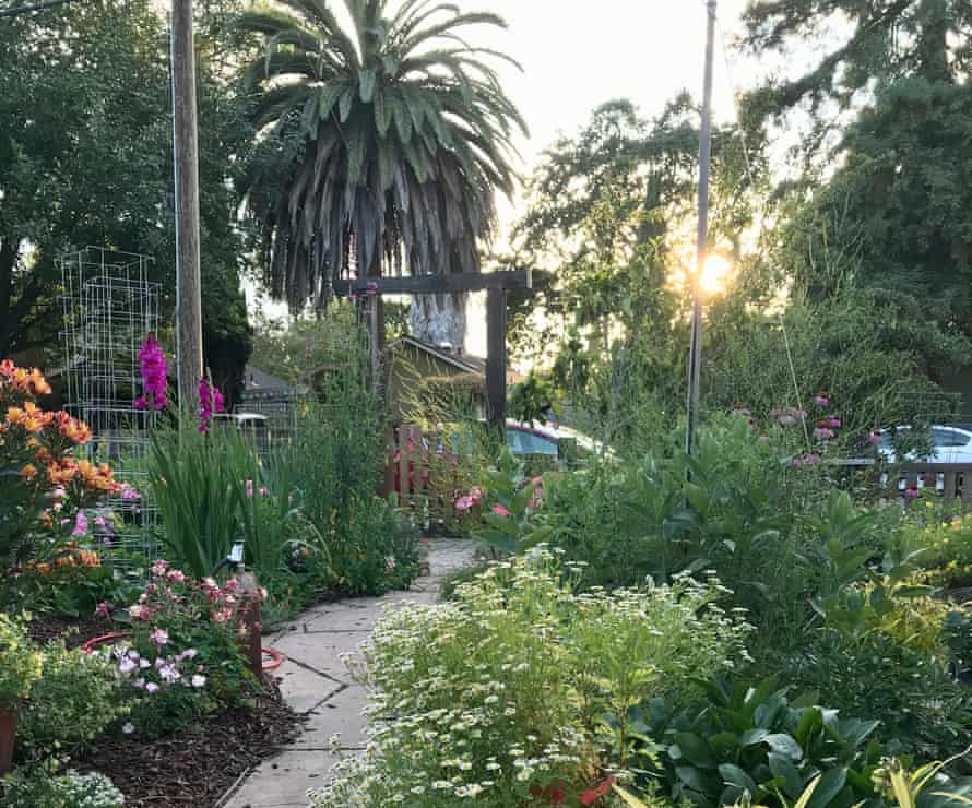 A pathway through Gigi Pravda's huge California front garden