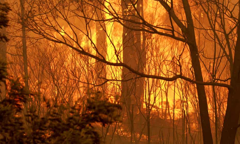 A Tasmanian bushfire