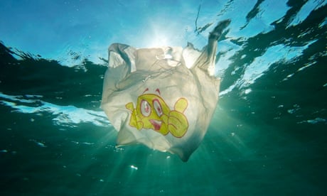 Plastic pollution in the Red Sea, Egypt, 23 Jun 2022.