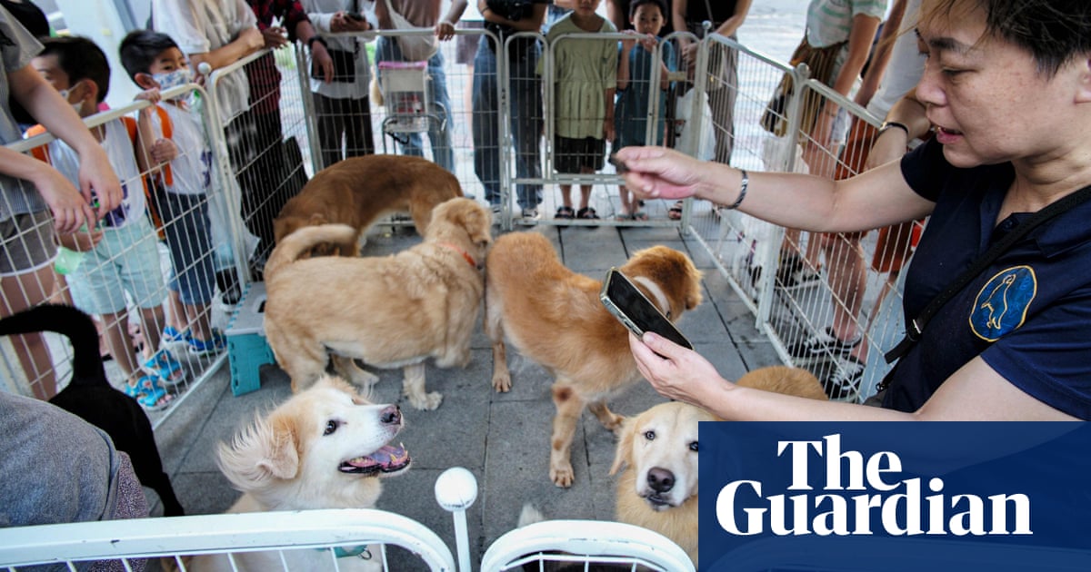 Taiwan presidential hopeful offers pets for pregnancies in push to boost birth rate