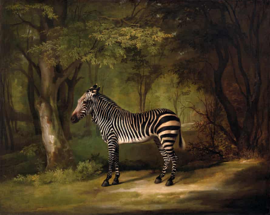 Zebra by George Stubbs.
