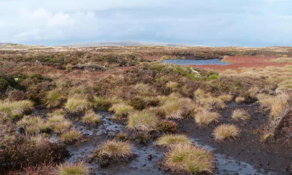 A peat bog in the Brecon Beacons