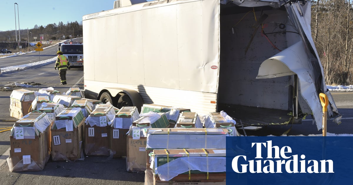 Monkey on loose in Pennsylvania after crash on way to laboratory