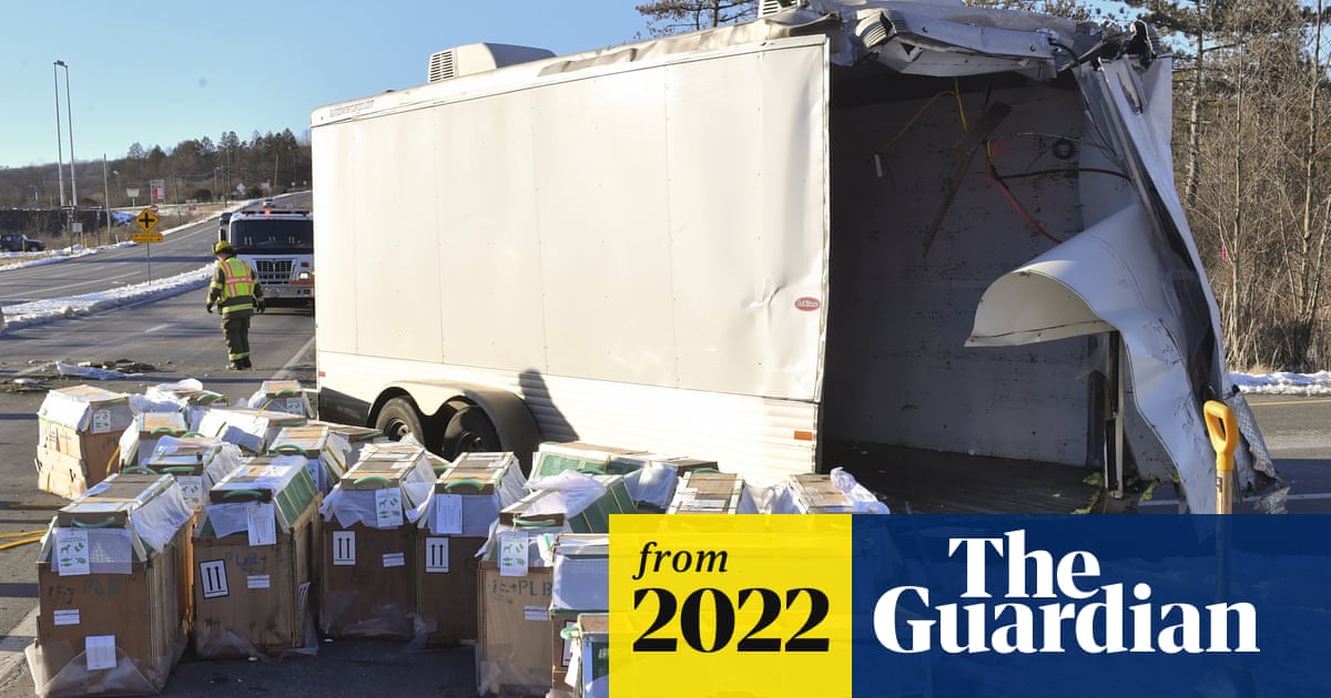 www.theguardian.com
