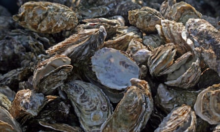 Oysters from the Étang de Thau saltwater lagoon 