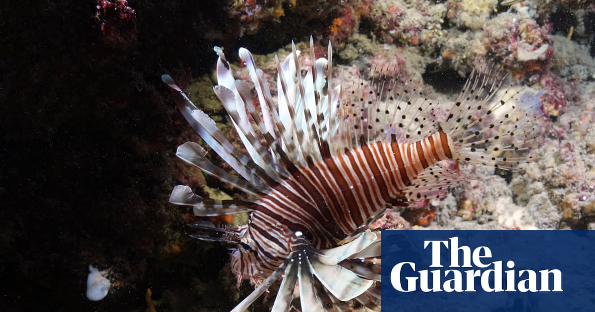 Carbon pollution has fuelled ‘massive expansion’ of marine heatwaves in Europe, study finds