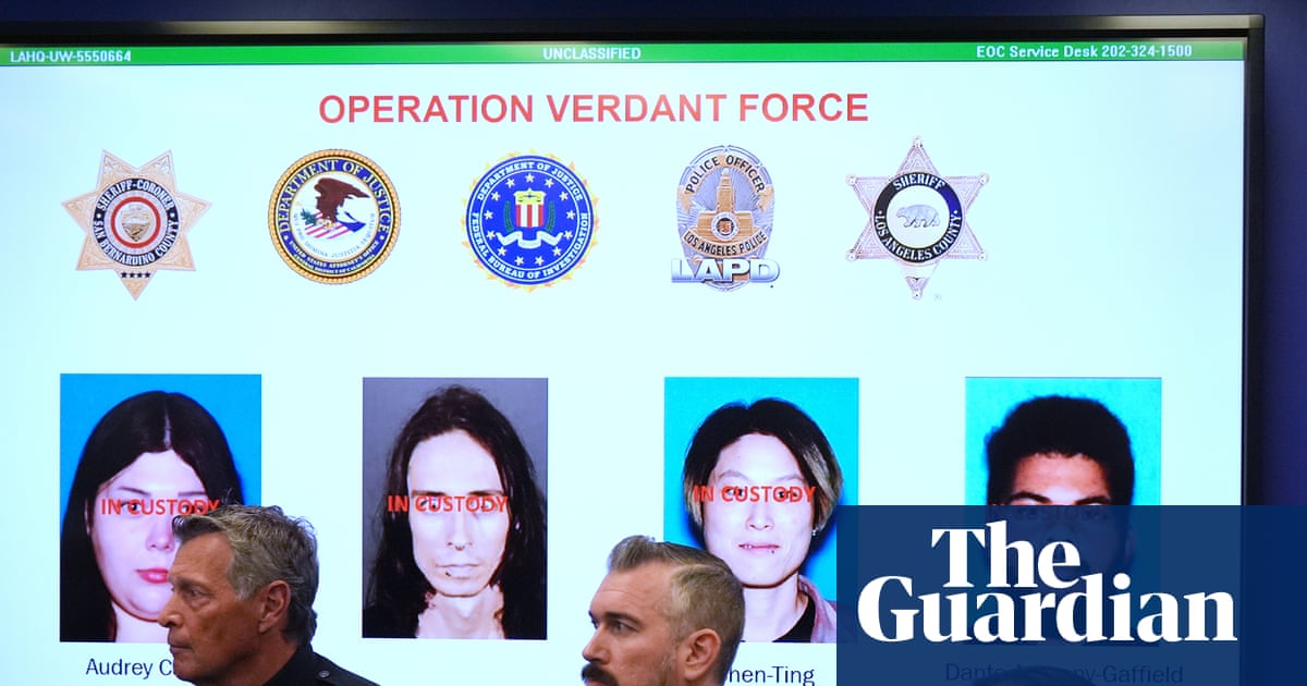 Four arrested for allegedly plotting New Year’s Eve terror attacks near LA, say officials