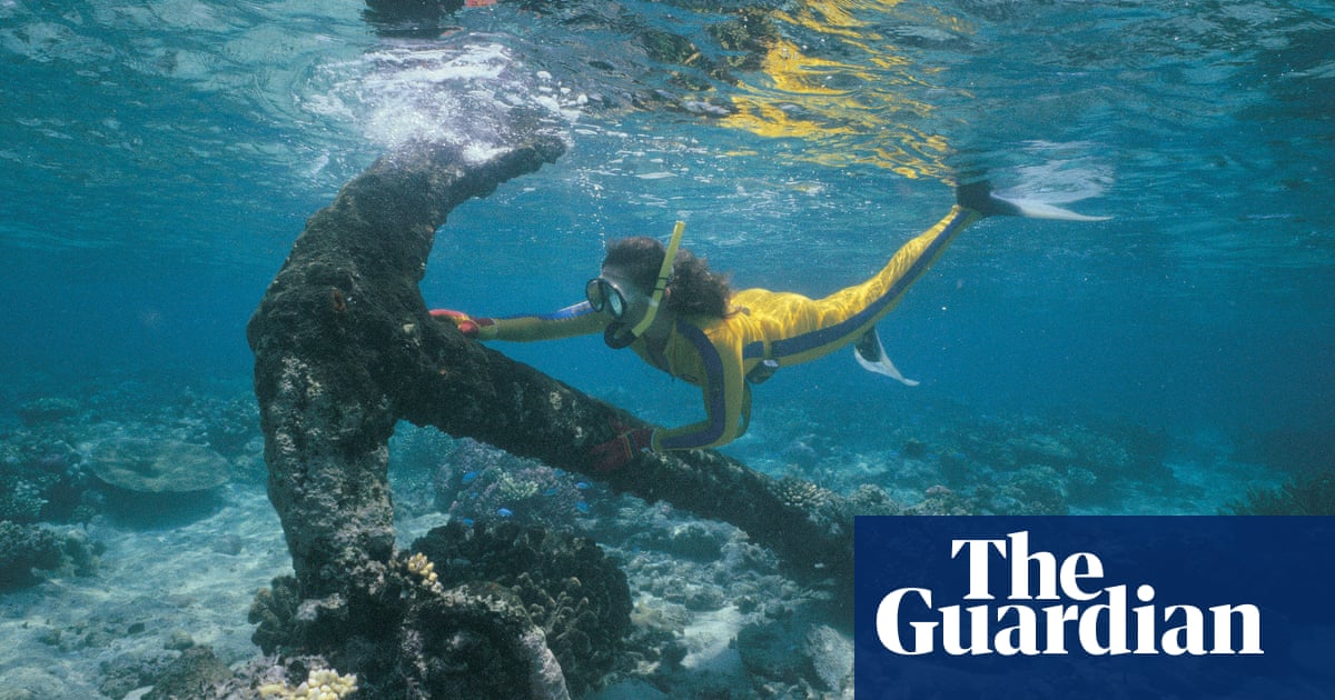 Australia must do more to prevent ‘looting and destruction’ of underwater heritage, report says