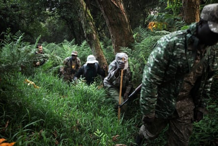 A line of people trek through dense jungle