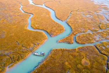Fishing boat in the Yellow River estuary