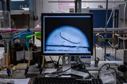 A nematode on a computer screen