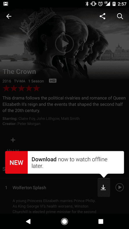 Netflix Offline downloads