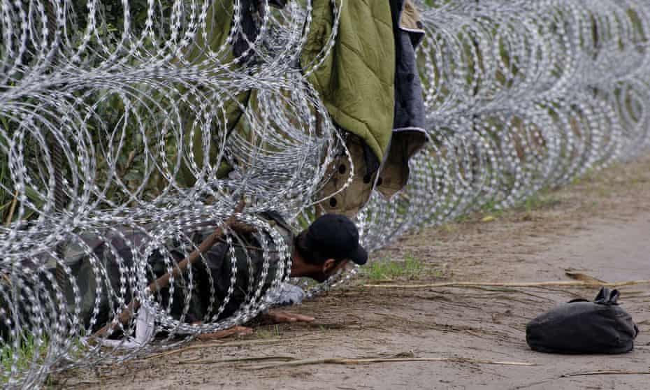 A man tries to climb through the razor-wire fence put up by the Hungarian authorities along the border with Serbia, near the village of Röszke.