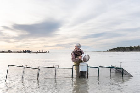 Man checks his white baiting nets in a river