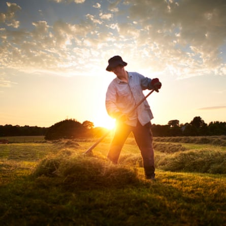 Farmers making hay while the sun shines