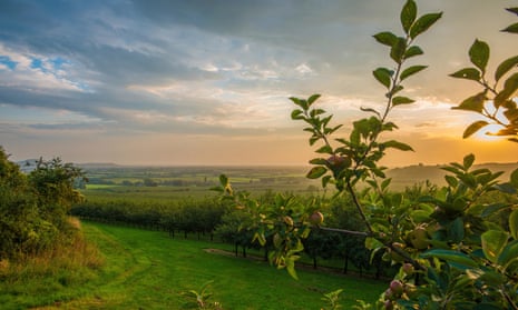 ‘An unnamed, ungendered protagonist moves around the English countryside with a group of artists and intellectuals’ … Sunset at a Cider Apple Orchard in Shiplate, Somerset.