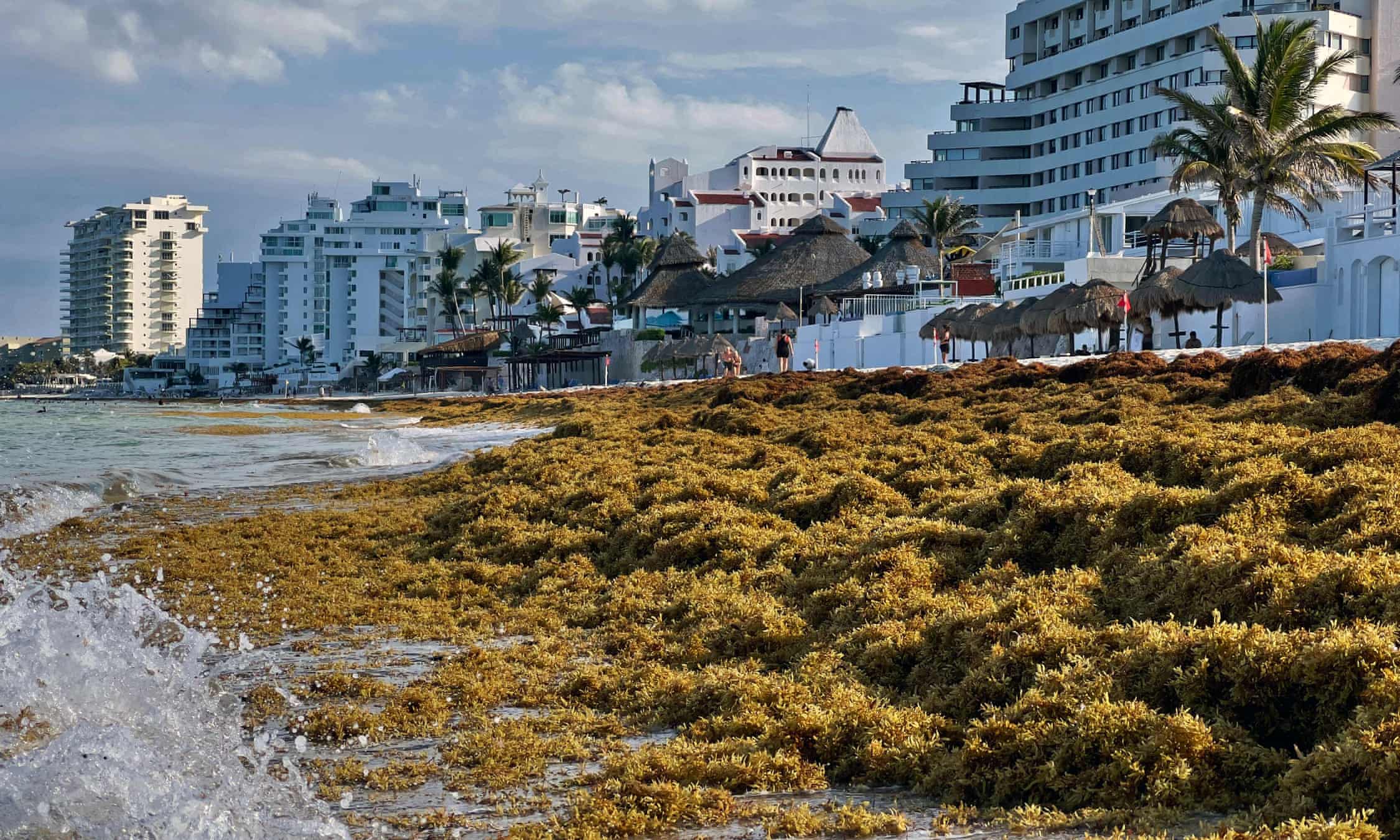 Flesh eating bacteria in Florida