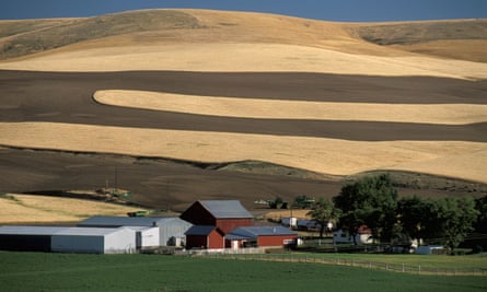 agricultural landscape near Pomeroy, Washington State