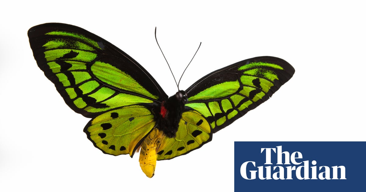 'The impossible has already happened': what coronavirus can teach us about hope