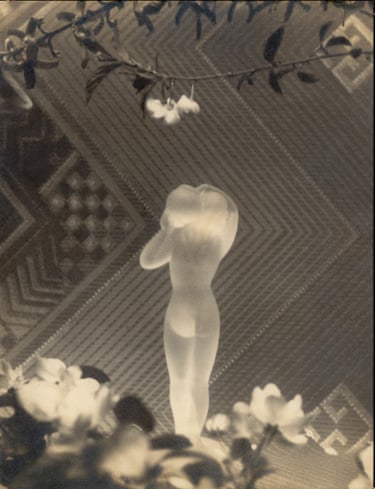 A faint, translucent nude figure stands beneath a flowering branch against a patterned background