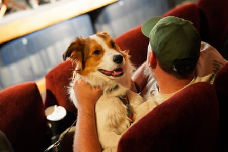 A dog at the premiere.