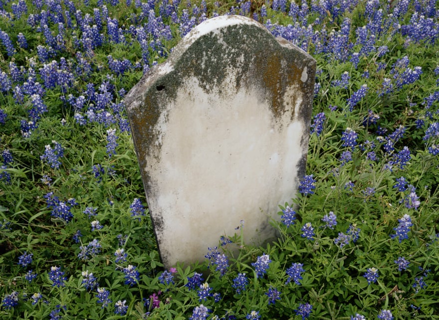 A tombstone surrounded by bluebonnets