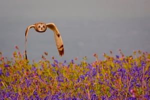 Steve Burnett.Pembrokeshire Coast national park.