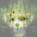 Cover of the Emerald album: a picture of woodland overlaid with transparent shapes