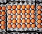 Salmonella cases in UK likely to rise until source of outbreak is found