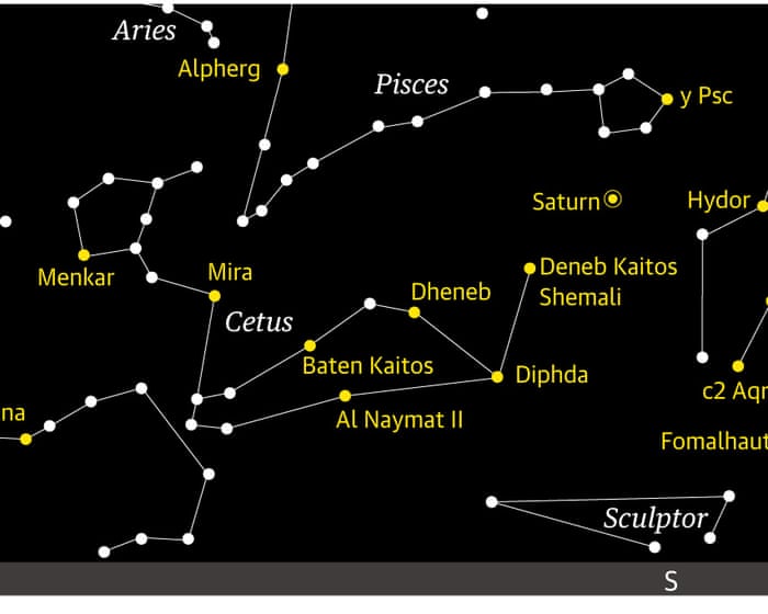 Starwatch: track Cetus, the sea monster, sprawling across the night sky