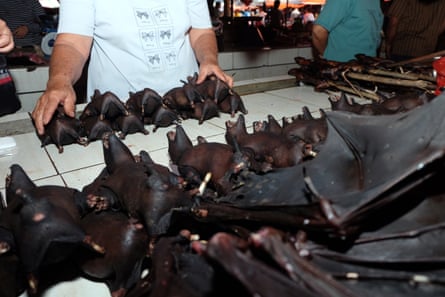 Traders sell bat meat at an Indonesian market, February 2020. Bats have been linked to diseases including Sars, Nipah, Marburg and Ebola