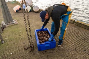 Crab being offloaded from a boat in Lindisfarne