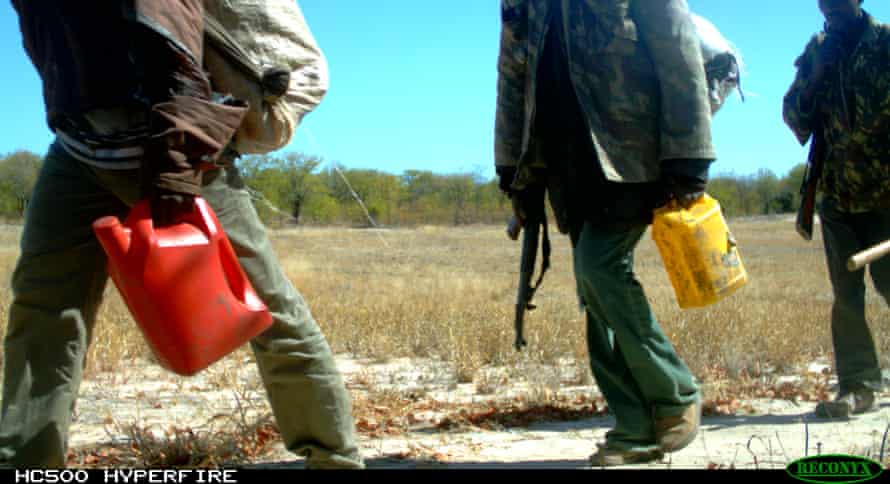 Bracconieri nel parco nazionale Limpopo catturati da una trappola fotocamera andando est.
