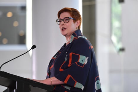 Minister for Foreign Affairs Marise Payne speaking in Canberra last month