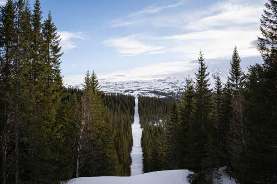 The clearing in the woods marking the border between Norway and Sweden.