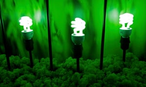 Green, low-carbon electrical lights displayed at the COP21 conference in Paris. 