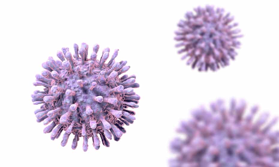 Human Immunodeficiency Virus (HIV), computer illustration.