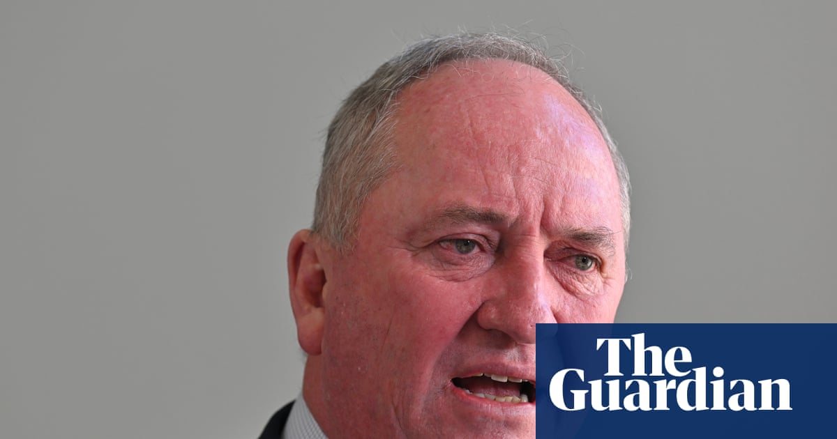 Barnaby Joyce claims people who 'look like' recent arrivals dominate auctions. Who is he talking about?
