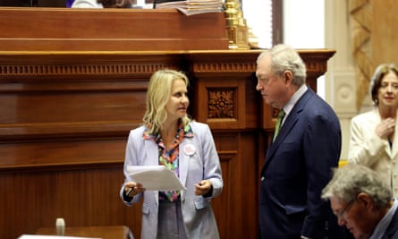 Senator Sandy Senn talks to fellow senator Dick Harpootlian.