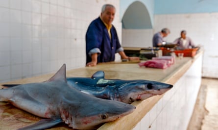 Houmt Souk fish market, Djerba Island.