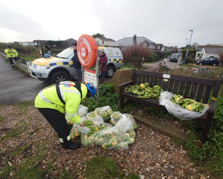 A person in a yellow hi-vis jacked helps collect bunches of bananas on Selsey beach in West Sussex.