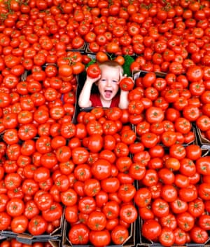 A three-year-old boy in a mass of beef tomatoes on a fruit and vegetable stall at Brighton Open Market, 2009