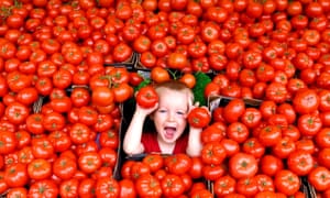A boy plays in a mass of English beef tomatoes on a fruit and vegetable stall in Brighton