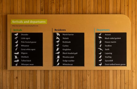 A wooden board featuring illustrations of birds in columns labelled: Arrivals, residents and departures