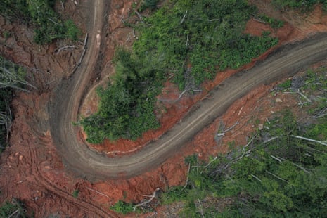 A bend in a road from above, with trees cleared around it